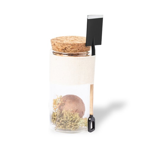 Bonbon Graines Winsu Bonbon Graines Winsu