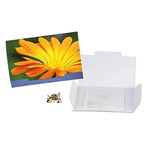 Flower-card with seeds - Marigold