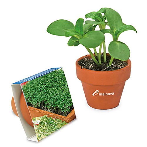 Logo-pot with seeds - teracotta - Cress Logo-pot with seeds - teracotta - Cress