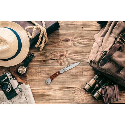 FALCON II. Pocket knife in stainless steel and wood FALCON II. Pocket knife in stainless steel and wood