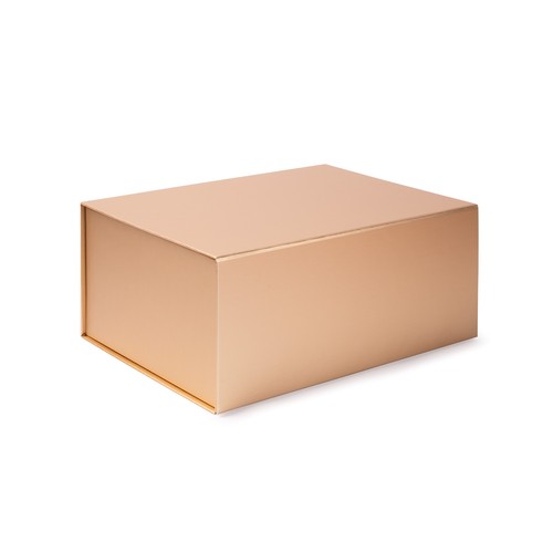 SOLVIA BOX