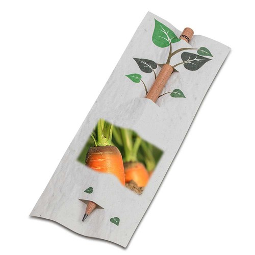 Crayon dans une carte en papier de semence - carotte 4/4-c Crayon dans une carte en papier de semence - carotte 4/4-c