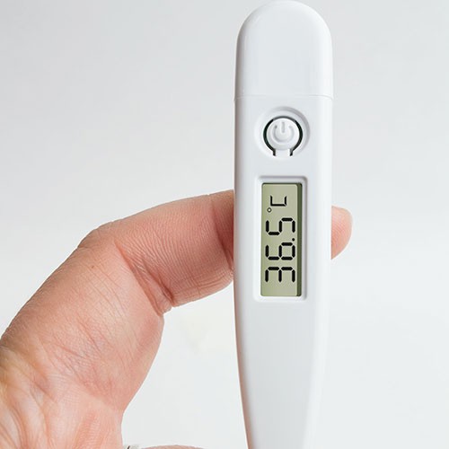 Digital thermometer Crizzy