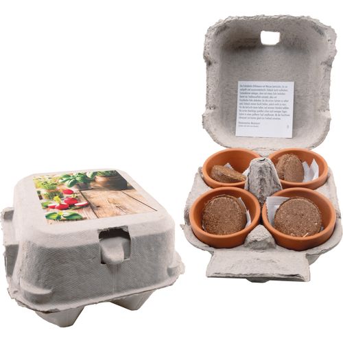 aromatische kruiden aromatische kruiden