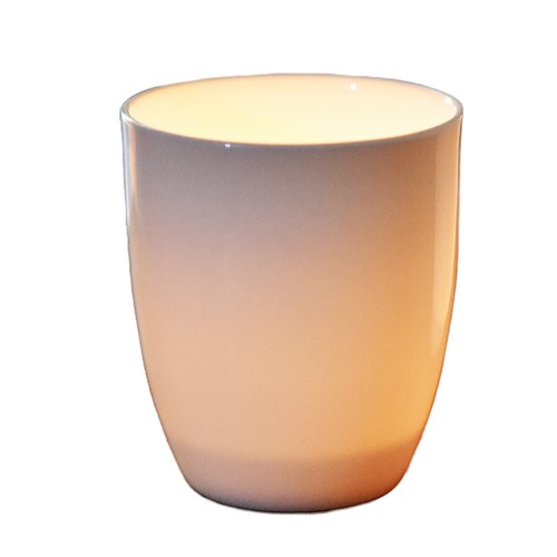 BoneChina cup form 321 + 4C HL- plein décor