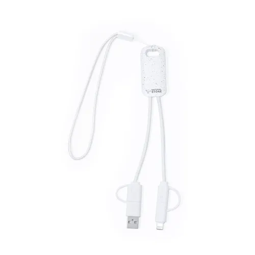 Câble de Charge Surgex