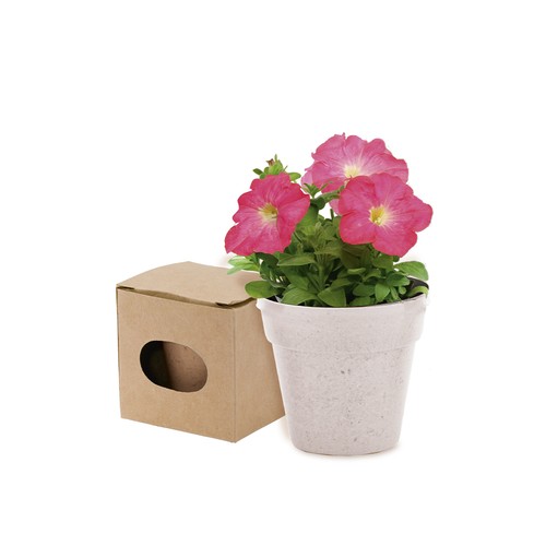 Pot de Fleurs Advert Pot de Fleurs Advert