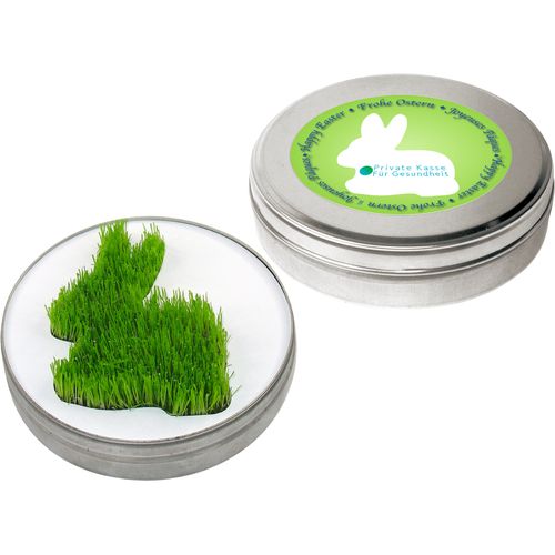 Growing Rabbit in the box