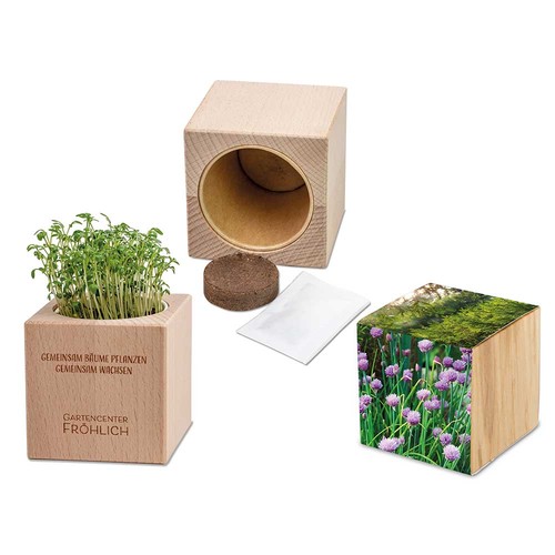 erbe aromatiche