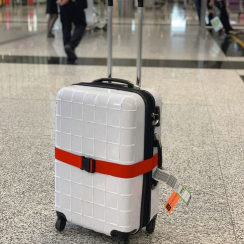 Adjustable luggage strap MOORDEICH