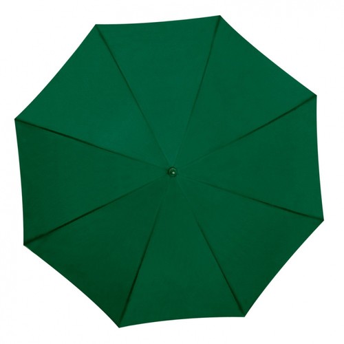 Automatic umbrella