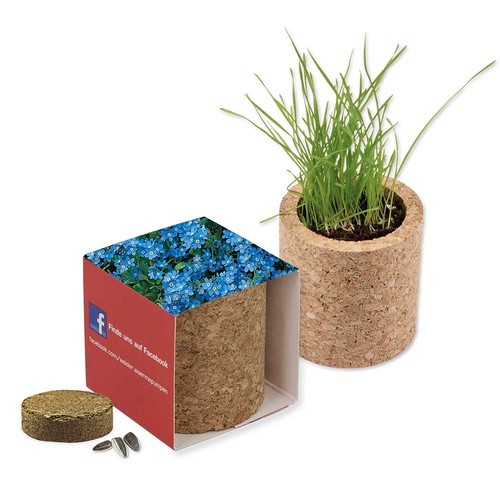 Pot rond en liège avec graines - Myosotis