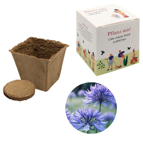 Cube-plantset (groot) - Korenbloem Cube-plantset (groot) - Korenbloem