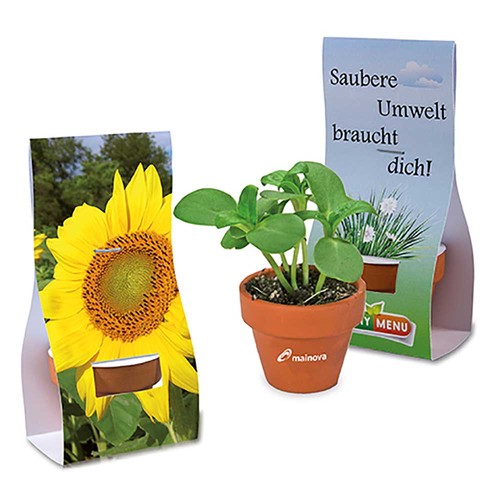 Mini pot terre cuite sous pochette - Tournesol