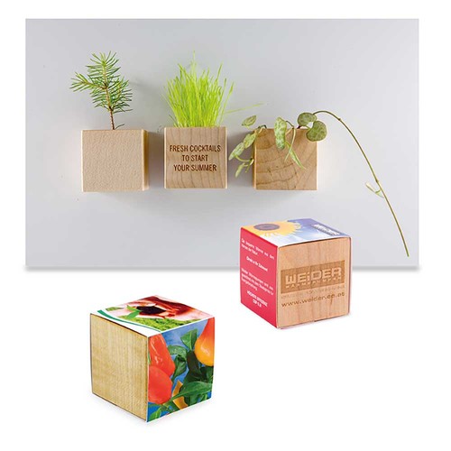 Pot cube bois mini avec aimant  avec graines - Piment