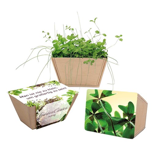 Mini-jardinière bois avec graines - Bulbes de trèfle à 4 feuilles Mini-jardinière bois avec graines - Bulbes de trèfle à 4 feuilles