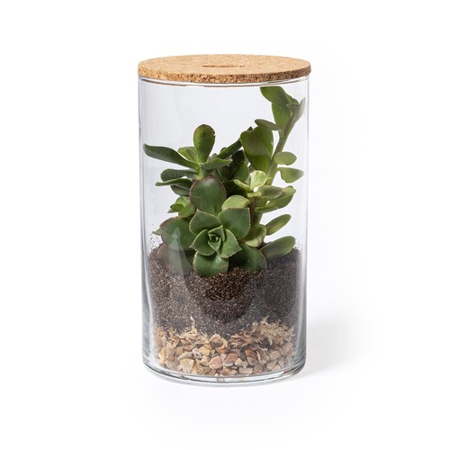 Terrarium Anymak Terrarium Anymak