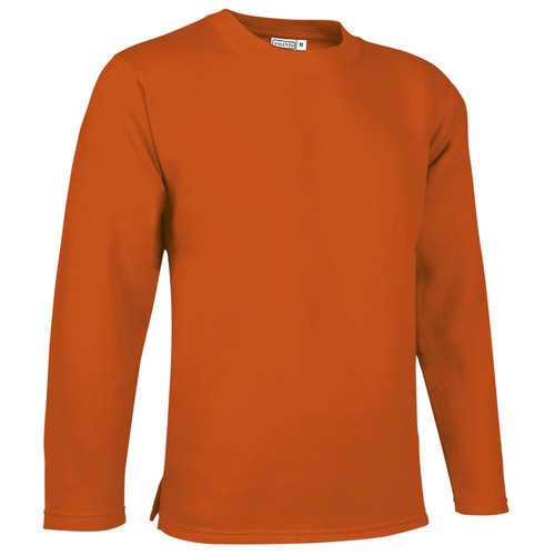bluza