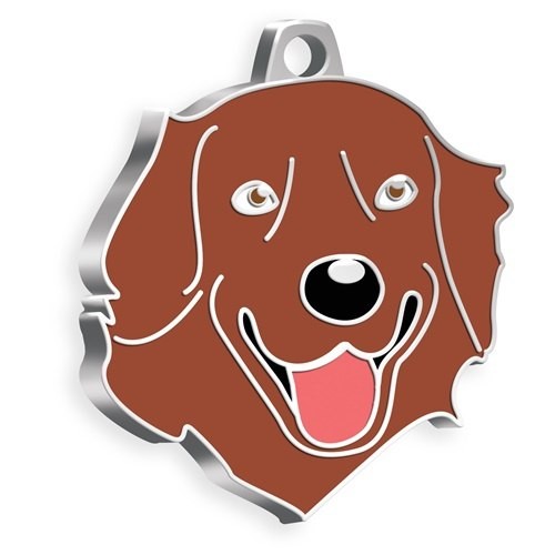 MEDAILLE CHIEN GOLDEN RETRIEVER MARRON MEDAILLE CHIEN GOLDEN RETRIEVER MARRON