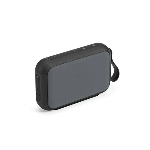 Hawking Speaker Hawking Speaker