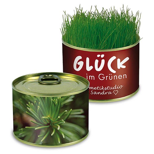 Blik met zaadjes, veel keuze aan bloemen en kruiden. een potgrond tablet wordt meegeleverd. De wikkel is groot genoeg voor uw logo of tekst en geeft dit blikje een uniek karakter met zaden - Spar