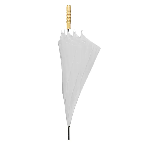 parasol