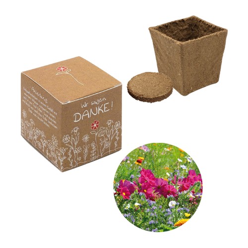 Cube-plantset (klein) - Zomerbloemenmengsel Cube-plantset (klein) - Zomerbloemenmengsel