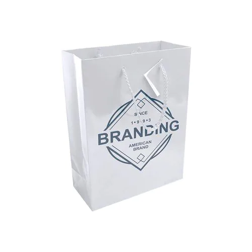 157 g/m2 laminated paper shopping bag with gusset and bottom reinforcement, string handles 157 g/m2 laminated paper shopping bag with gusset and bottom reinforcement, string handles