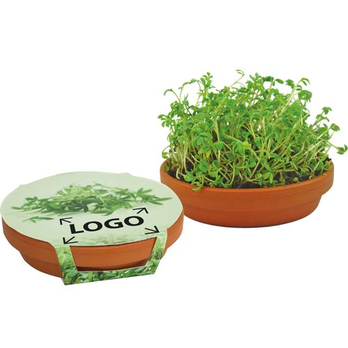 Cress Bowl Cress Bowl