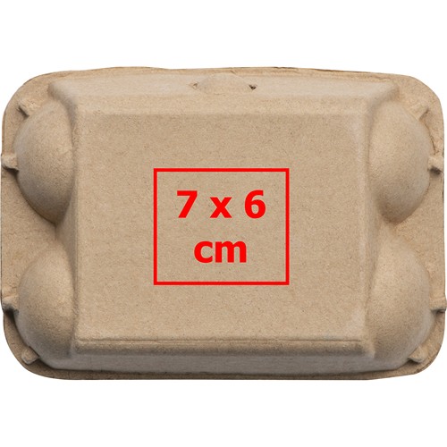 Stoepkrijt Stavanger