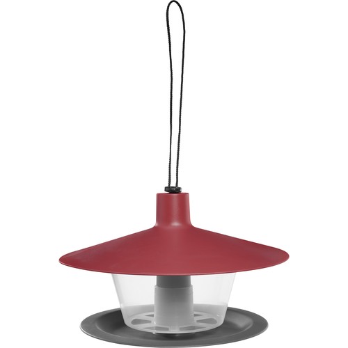 Bird feeder to hang, place, enjoy! Bird feeder to hang, place, enjoy!