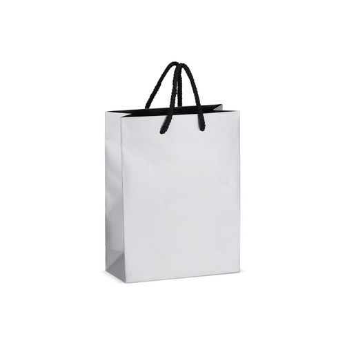 Paper gift bag 18 x 8 x 24cm 200g/m² Paper gift bag 18 x 8 x 24cm 200g/m²