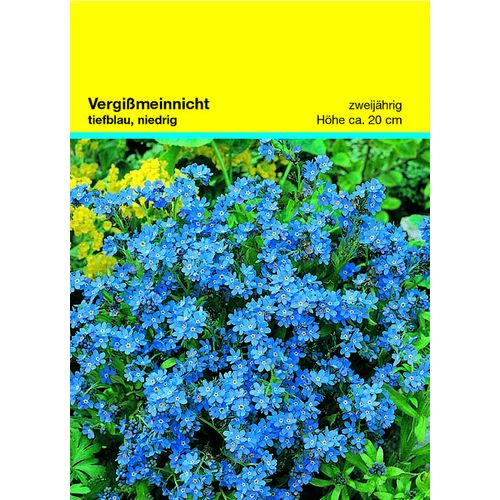 Sachet de graines myosotis 82 x 114 mm Sachet de graines myosotis 82 x 114 mm