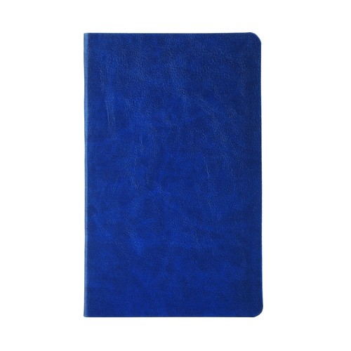 RECORD NOTEBOOK