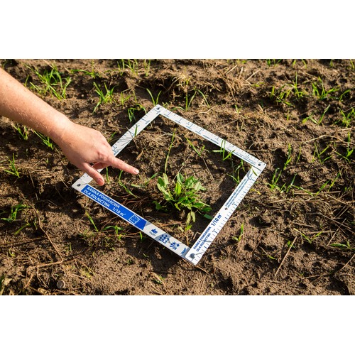 Cadre de comptage des mauvaises herbes FRAME STANDARD 1/10 m