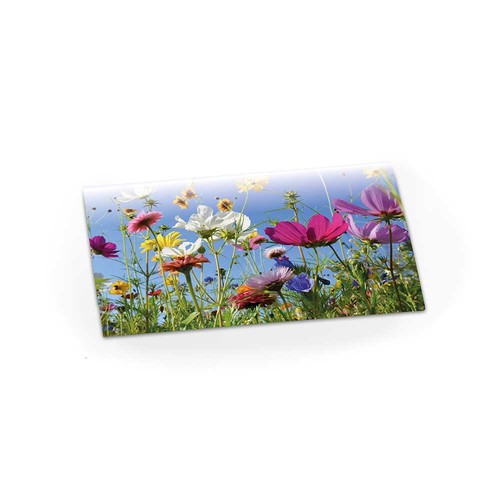 Etui papier ensemencé "abeiller" non personnalisable