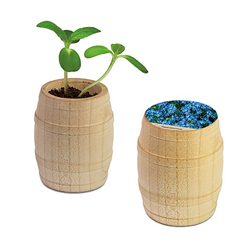 Plant-barrel with seeds - Forget-me-not Plant-barrel with seeds - Forget-me-not