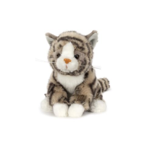 peluche