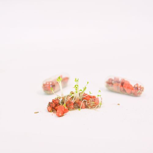 Seedpill X1 Seedpill X1
