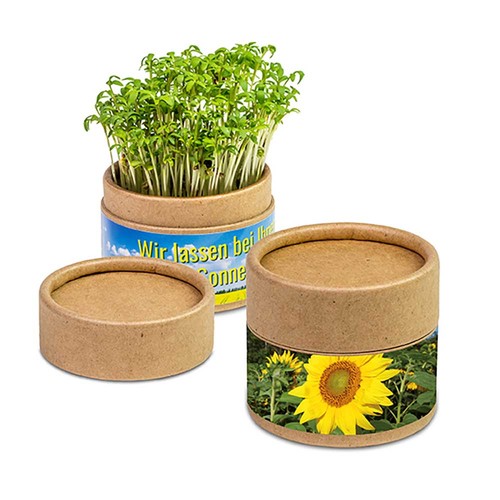 Boite kraft avec graines - Tournesol Boite kraft avec graines - Tournesol