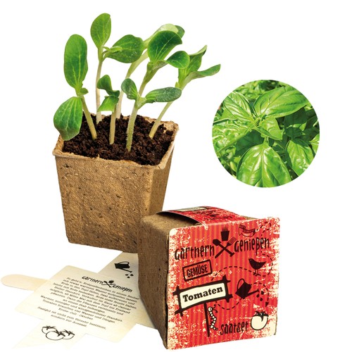 Vegetable Garden Seed Set (large) - Basil