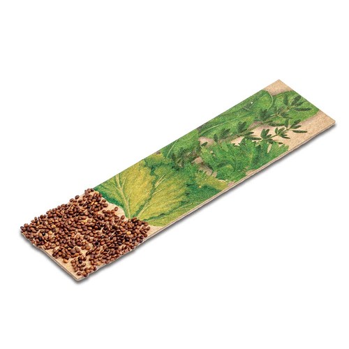Stick aux herbes avec graines - Basilic