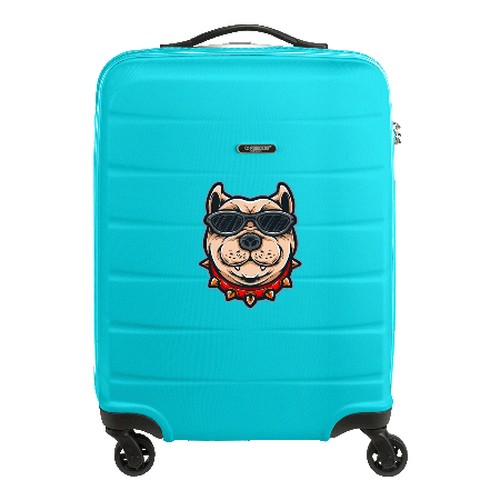 Chariot Princess Traveler Grenada taille cabine finition mate