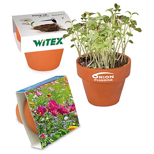 Mini pot terre cuite avec graines - Mélange de fleurs d'été