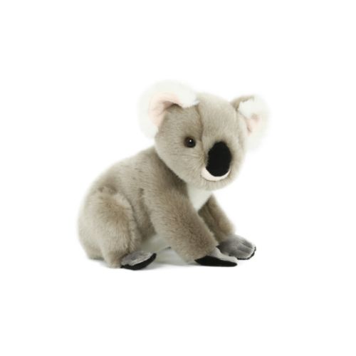 Peluche