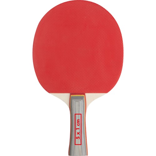 Table tennis set Masstricht