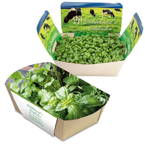 Jardinodrome avec graines - Mélange d'herbes aromatiques