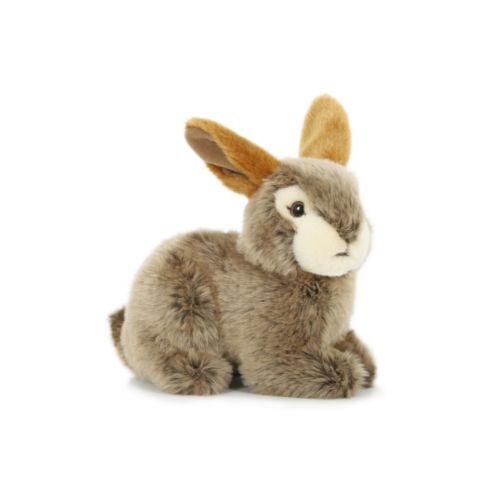 Peluche Peluche