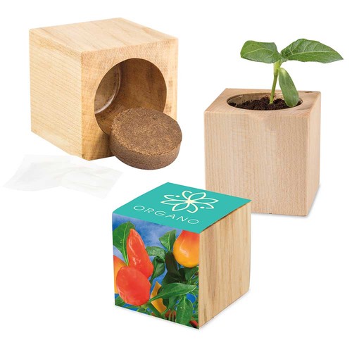 Pot cube  bois maxi avec graines - Piment