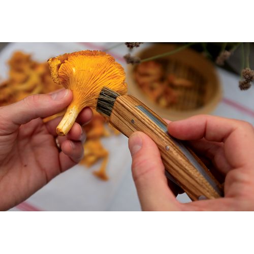 Couteau à champignon Couteau à champignon